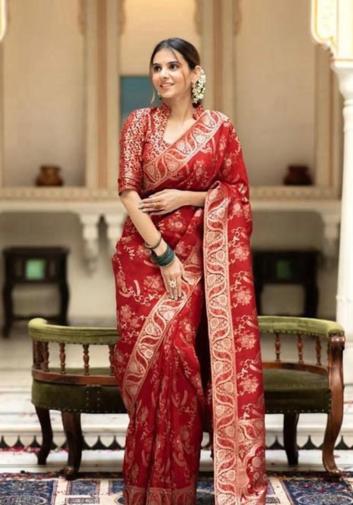 Anarkali Red banarasi silk saree