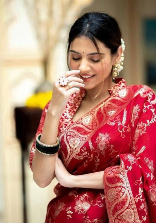 Anarkali Red banarasi silk saree