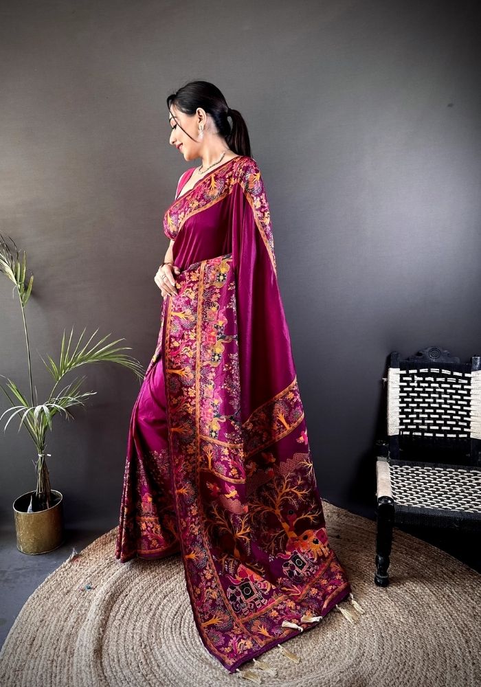 Ishani Rani Nylon Silk Saree