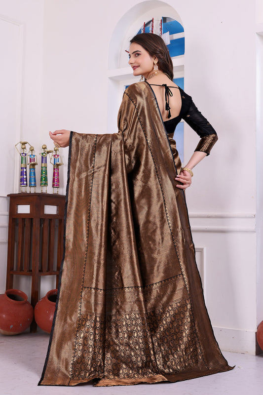 Aarohi Black Banarasi Silk Saree