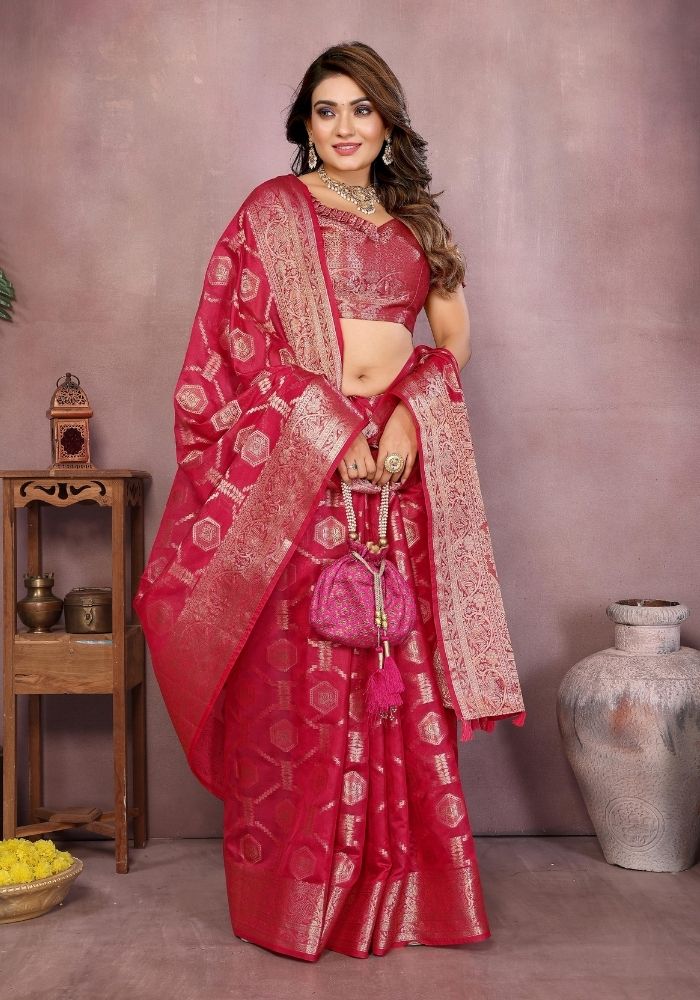 Sandhya Rani Organza Silk Saree