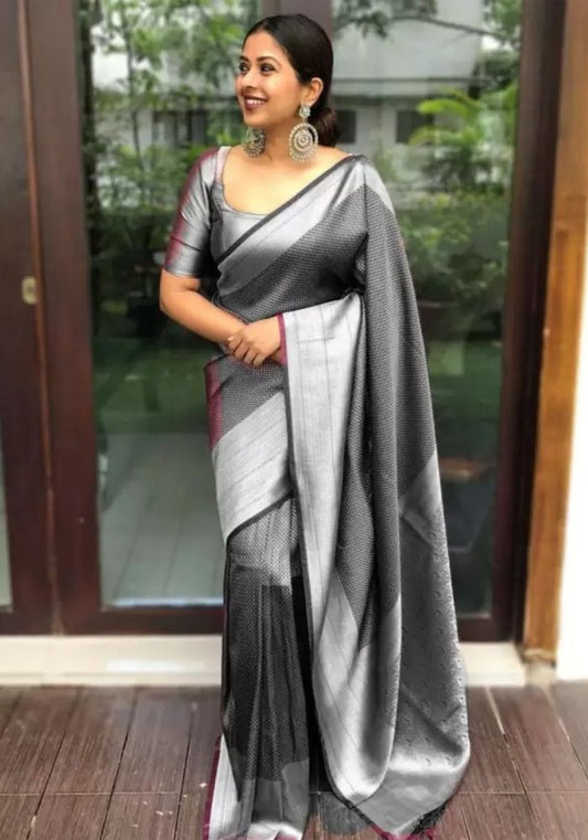 Silver Sheen Elegance