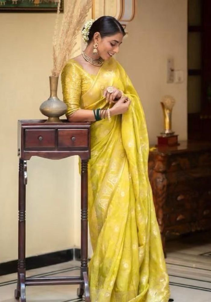 Anarkali Gold banarasi silk saree