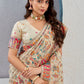 Tanirika – Beige Naylon Sillk Saree with Vibrant Minakari Detailing
