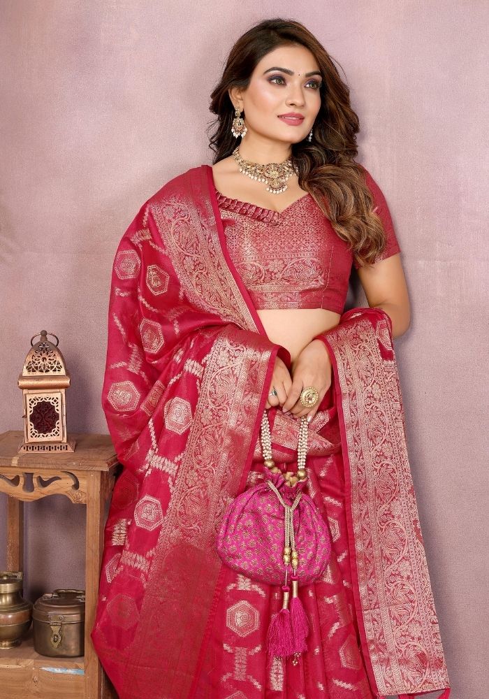 Sandhya Rani Organza Silk Saree