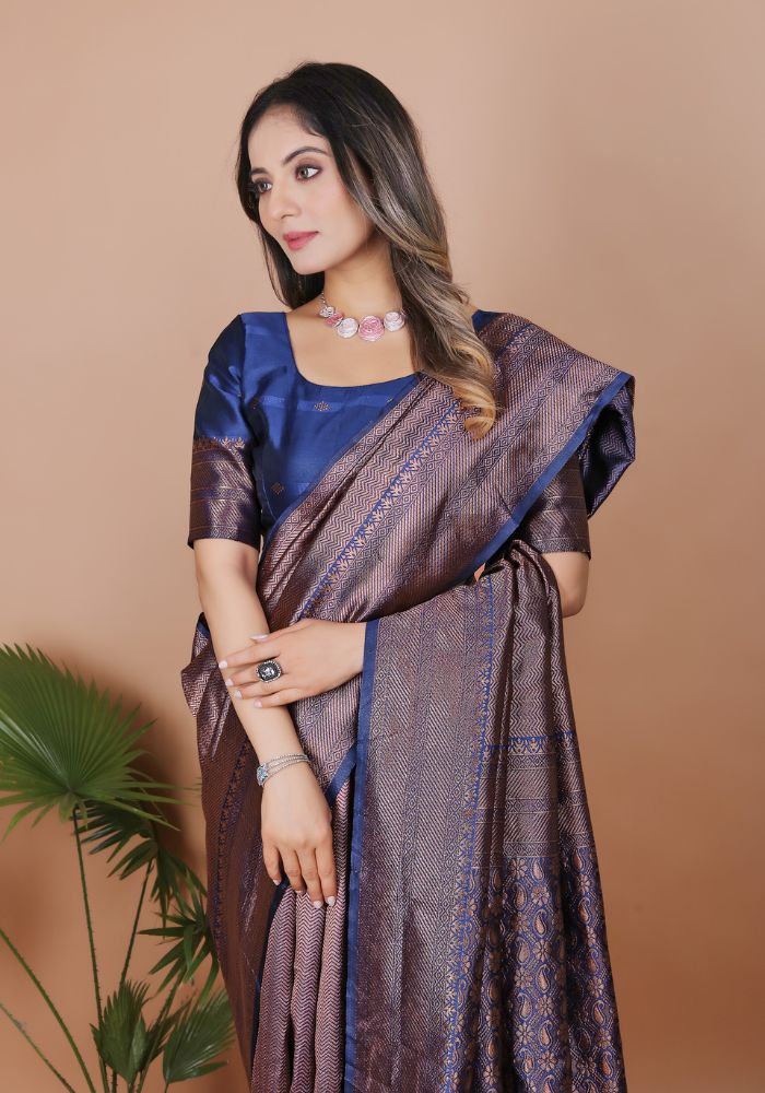 Aarohi N.Blue Banarasi Silk Saree