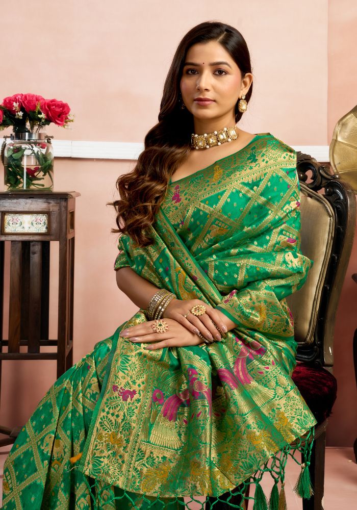 Sanskriti Orgenza Silk Saree