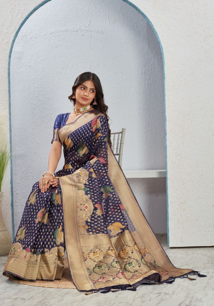 Zalak Organza saree