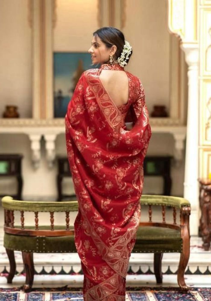 Anarkali Red banarasi silk saree
