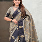 Ruvika – Banarasi Soft Silk Saree in Grey with Ornamental Border
