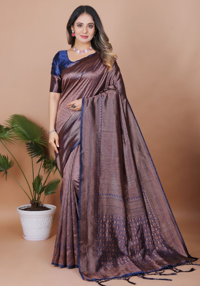 Aarohi N.Blue Banarasi Silk Saree