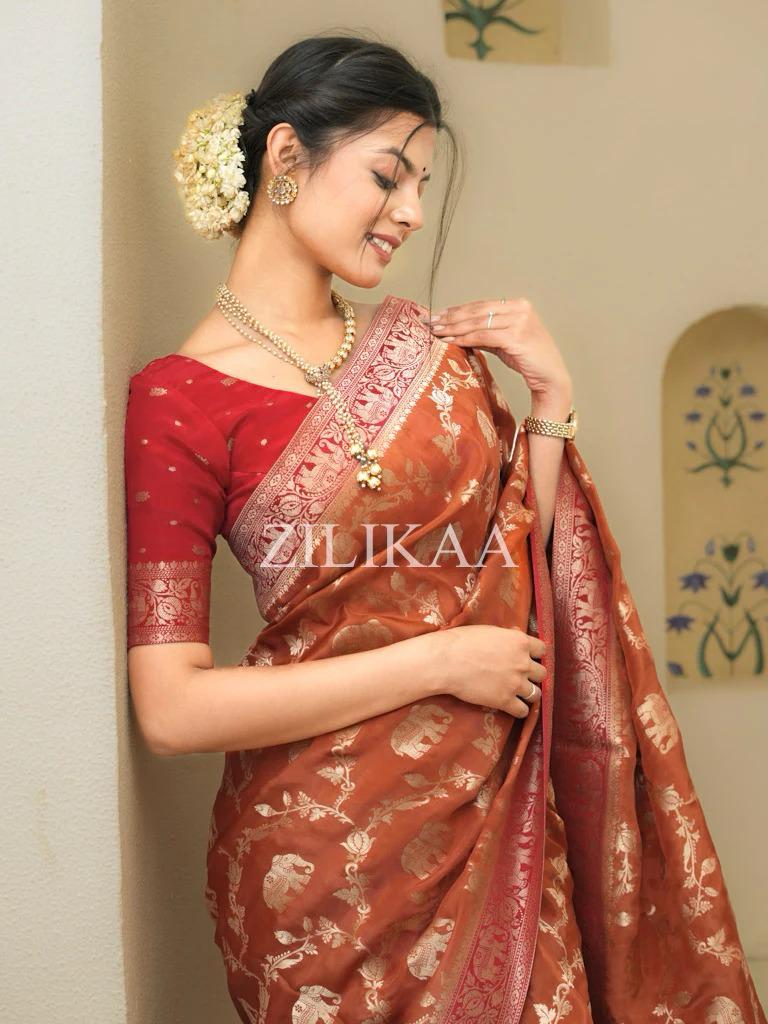 Anvitha – Rust Brown Banarasi Soft Silk Saree With Zari Weaving